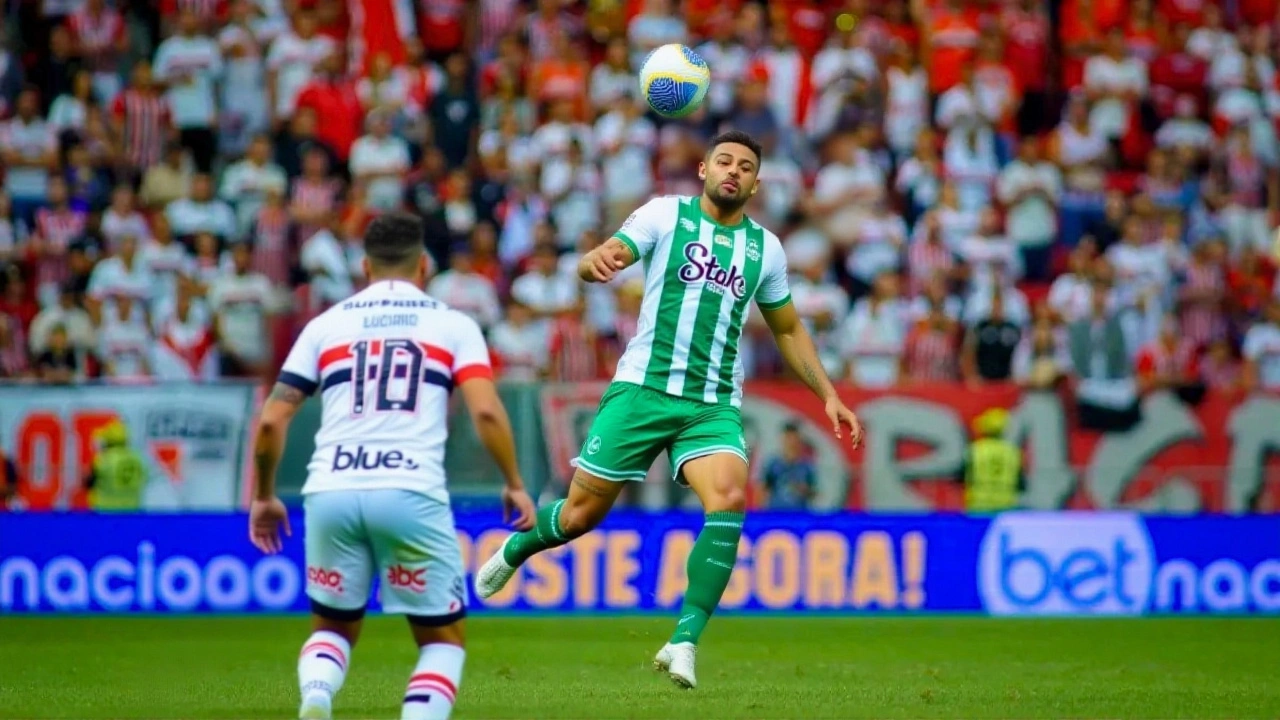 Campanha tricolor: o sonho ainda está vivo